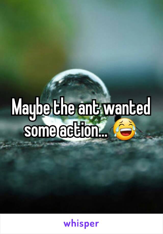 Maybe the ant wanted some action... 😂