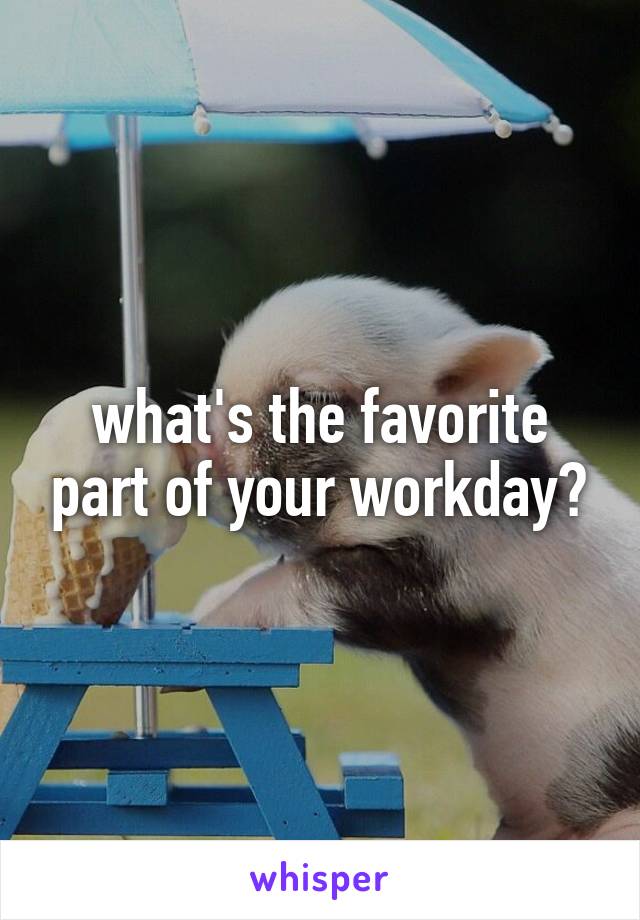 what's the favorite part of your workday?