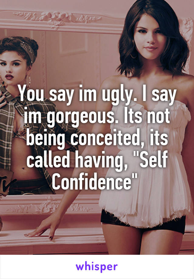 You say im ugly. I say im gorgeous. Its not being conceited, its called having, "Self Confidence" 