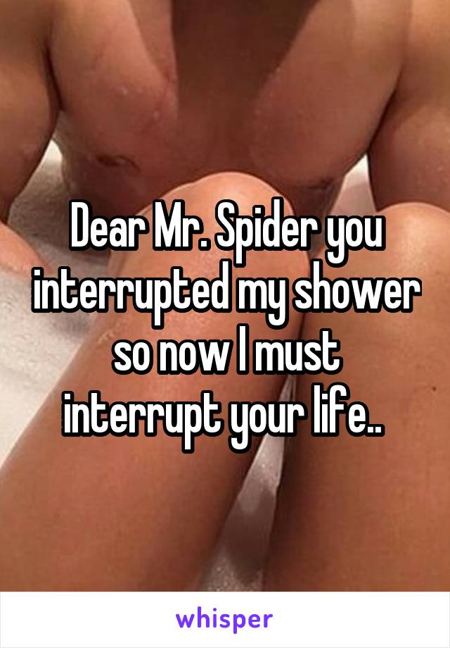 Dear Mr. Spider you interrupted my shower so now I must interrupt your life.. 