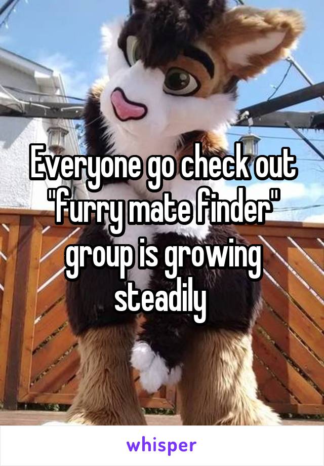 Everyone go check out "furry mate finder" group is growing steadily 