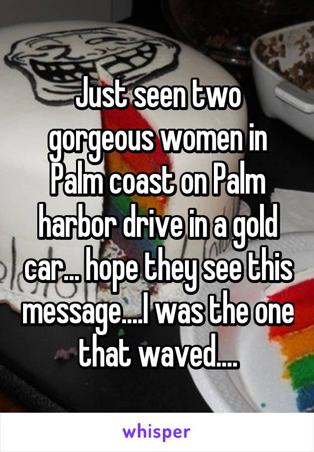 Just seen two gorgeous women in Palm coast on Palm harbor drive in a gold car... hope they see this message....I was the one that waved....