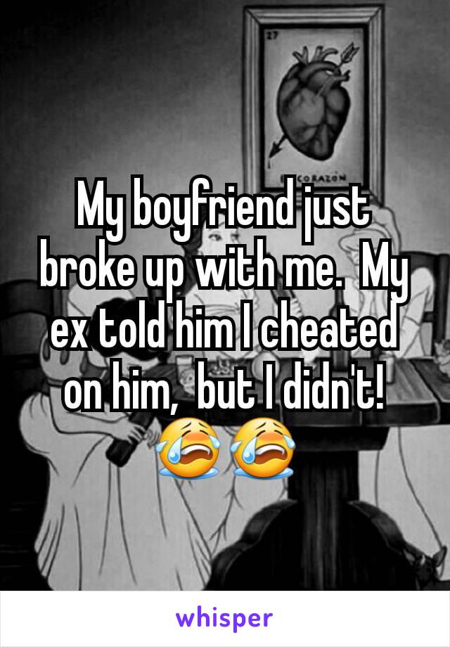 My boyfriend just broke up with me.  My ex told him I cheated on him,  but I didn't!  😭😭