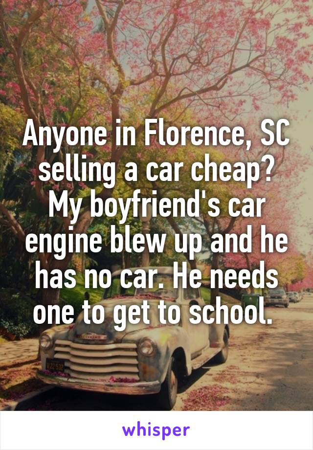 Anyone in Florence, SC selling a car cheap? My boyfriend's car engine blew up and he has no car. He needs one to get to school. 