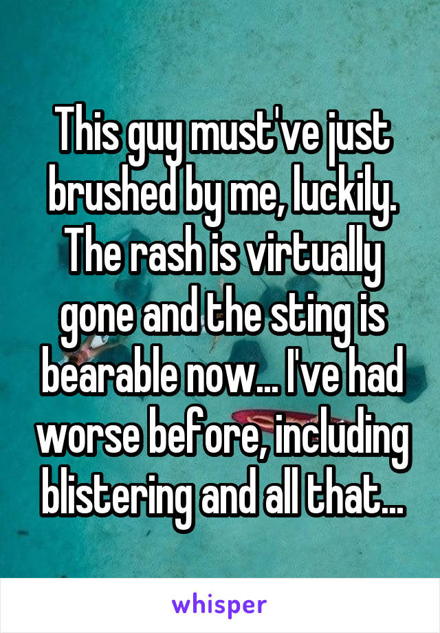 This guy must've just brushed by me, luckily. The rash is virtually gone and the sting is bearable now... I've had worse before, including blistering and all that...