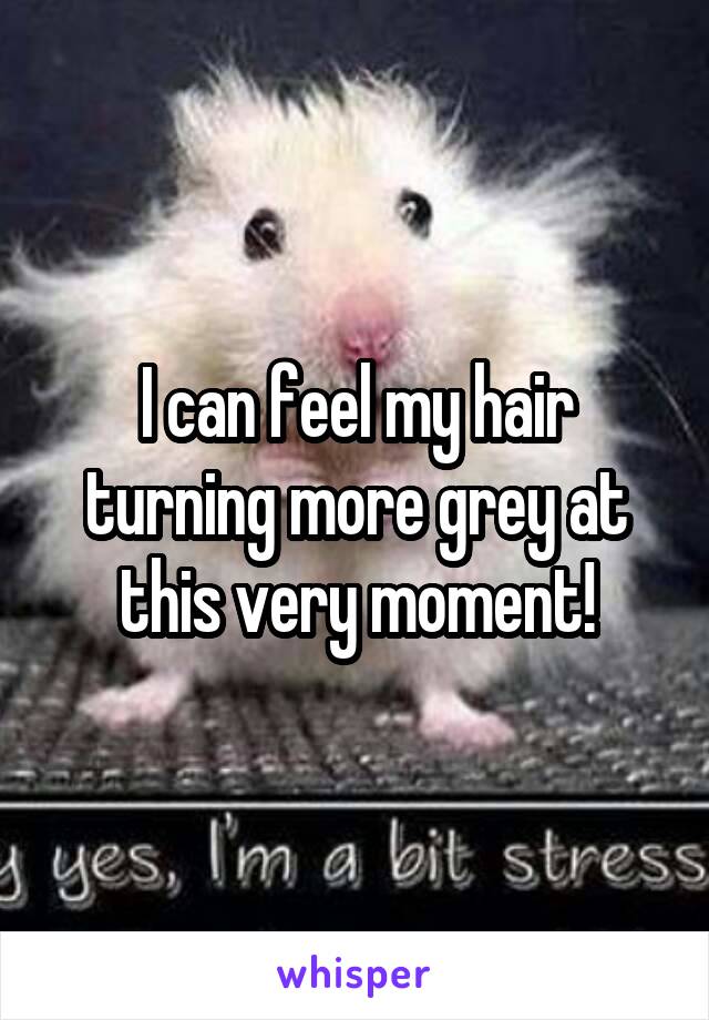 I can feel my hair turning more grey at this very moment!