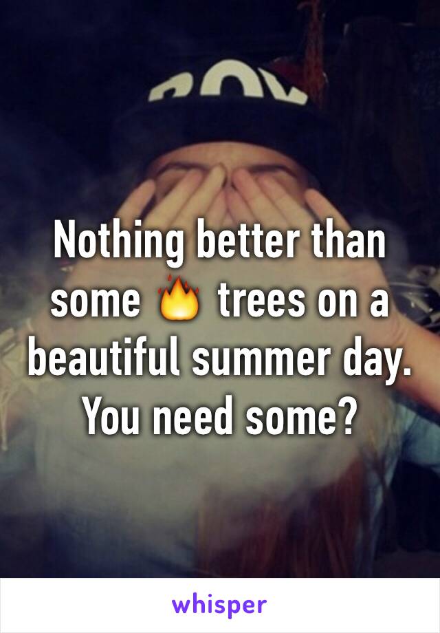 Nothing better than some 🔥 trees on a beautiful summer day. You need some? 