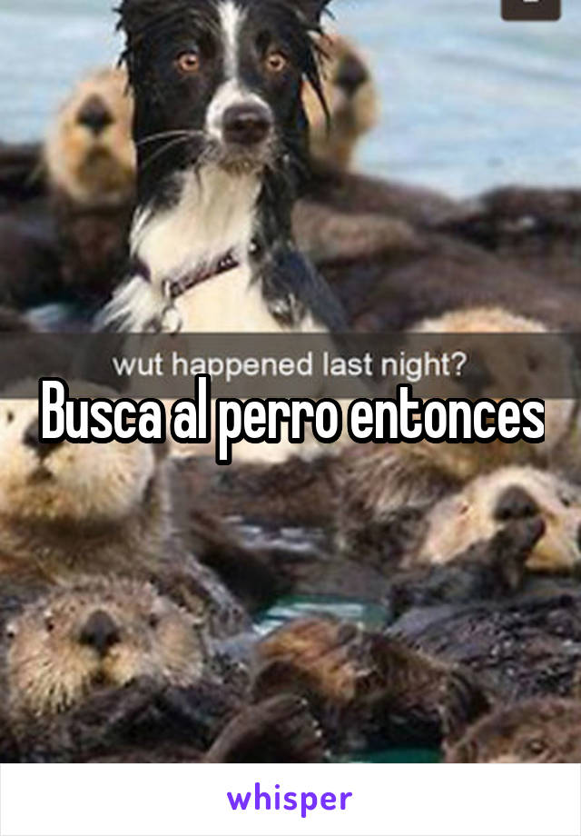 Busca al perro entonces