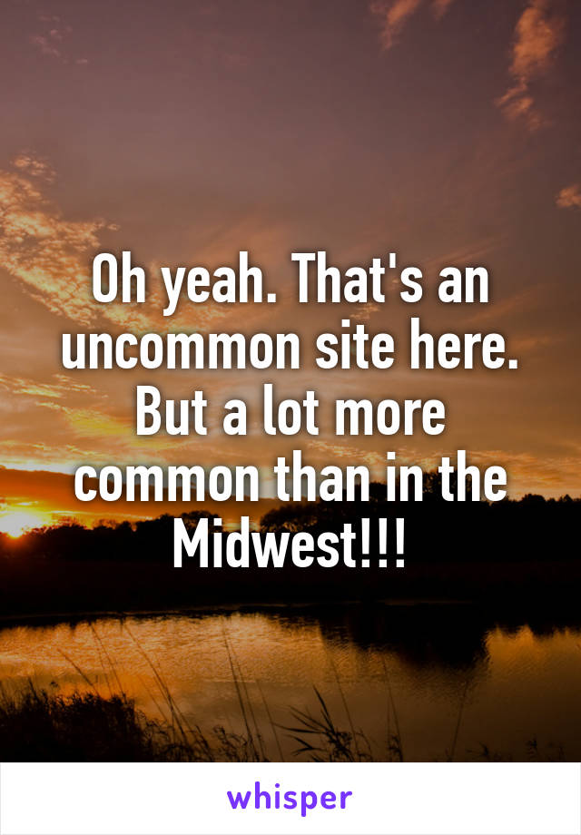 Oh yeah. That's an uncommon site here. But a lot more common than in the Midwest!!!