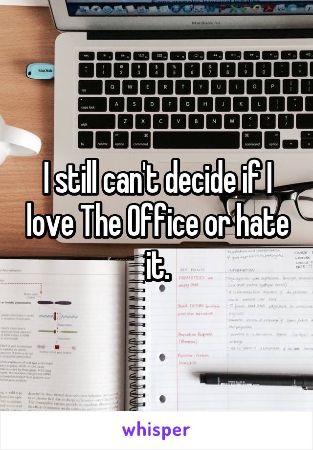 I still can't decide if I love The Office or hate it.