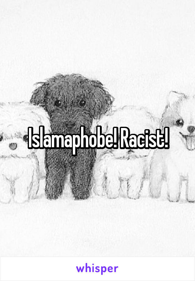 Islamaphobe! Racist!