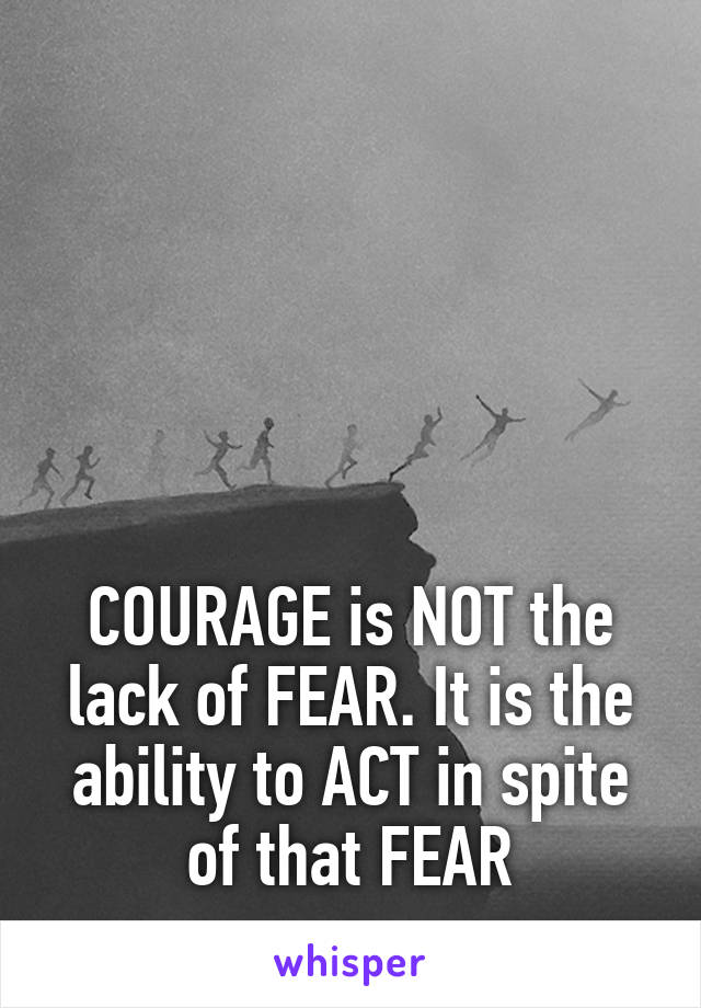 





COURAGE is NOT the lack of FEAR. It is the ability to ACT in spite of that FEAR