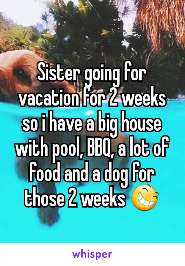 Sister going for vacation for 2 weeks so i have a big house with pool, BBQ, a lot of food and a dog for those 2 weeks 😆