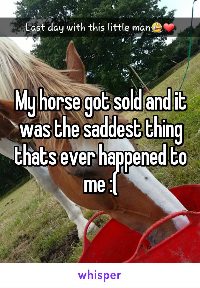 My horse got sold and it was the saddest thing thats ever happened to me :(