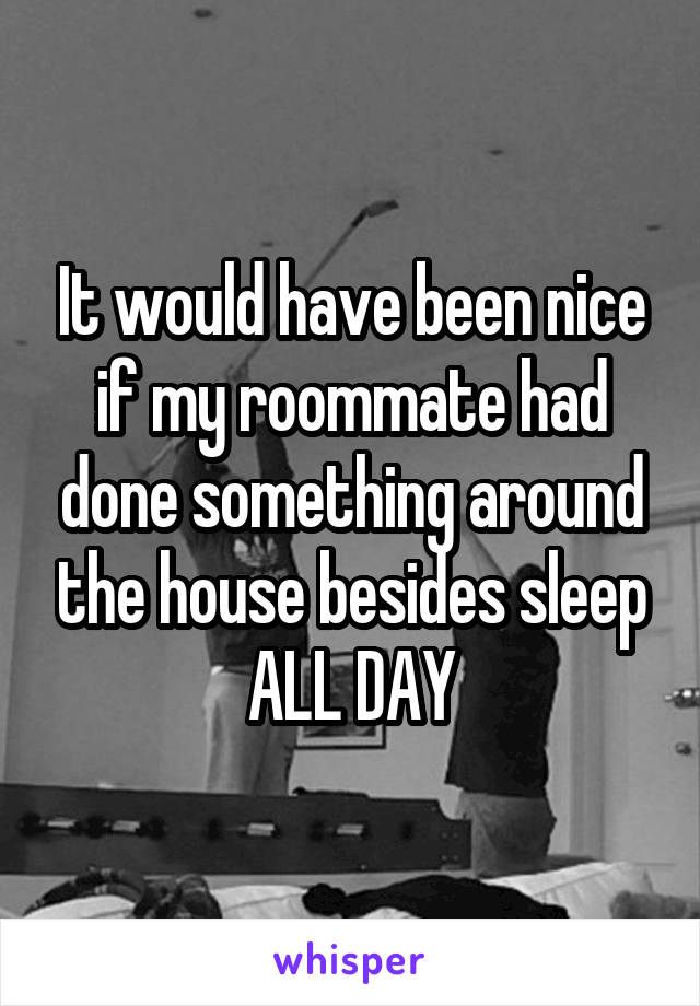 It would have been nice if my roommate had done something around the house besides sleep ALL DAY