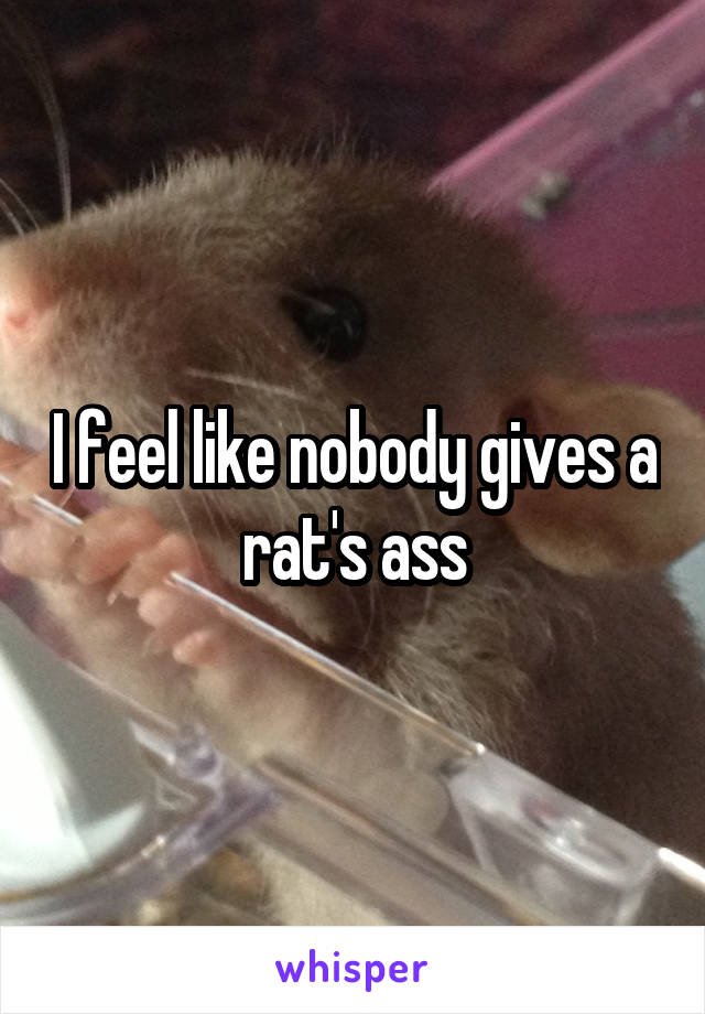 I feel like nobody gives a rat's ass