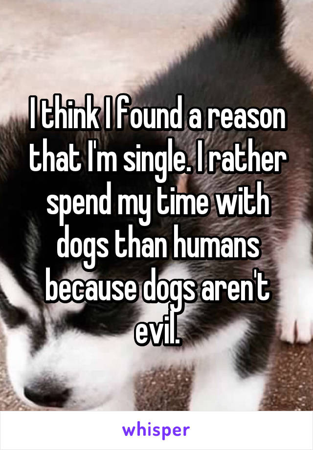 I think I found a reason that I'm single. I rather spend my time with dogs than humans because dogs aren't evil.