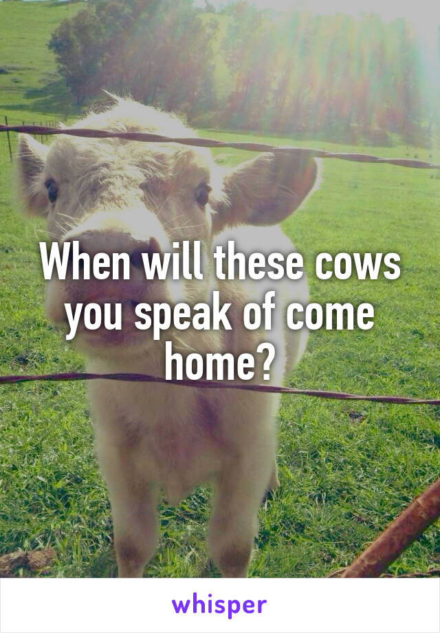 When will these cows you speak of come home?