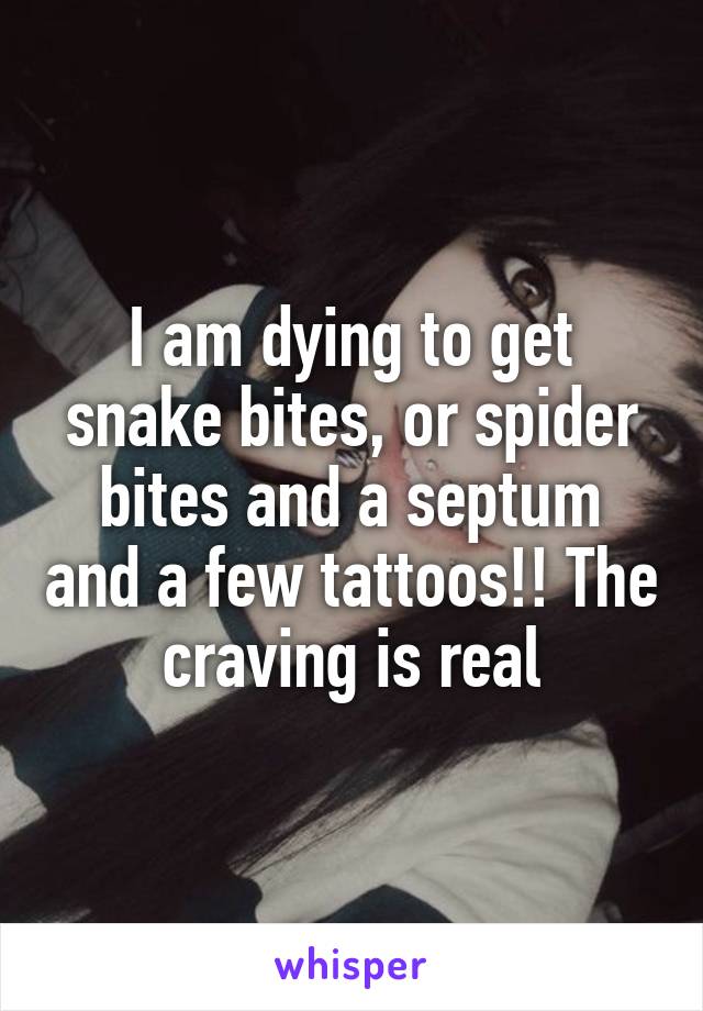 I am dying to get snake bites, or spider bites and a septum and a few tattoos!! The craving is real