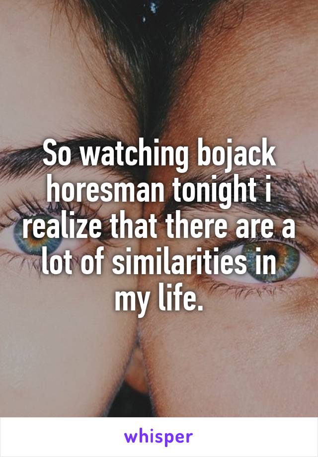 So watching bojack horesman tonight i realize that there are a lot of similarities in my life.