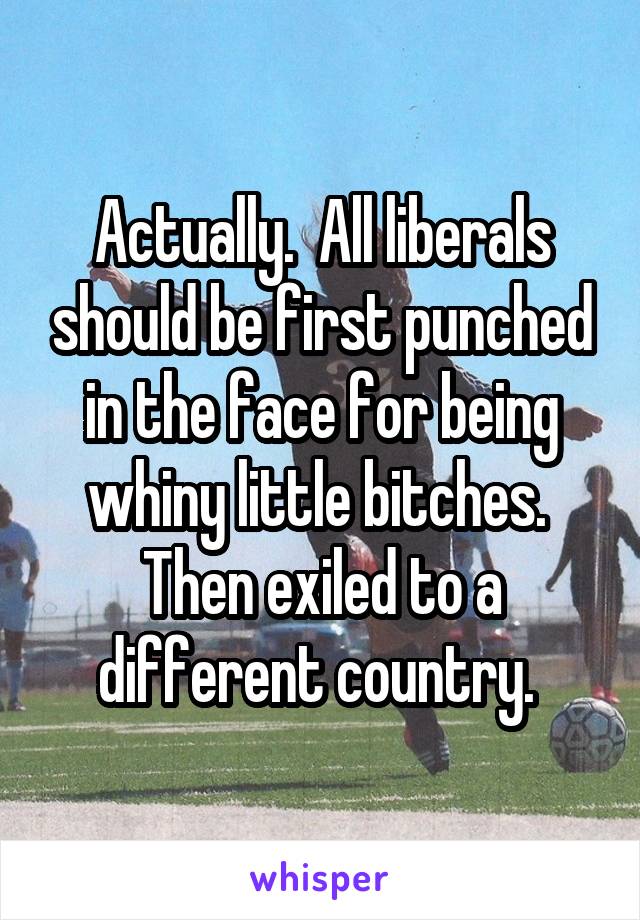 Actually.  All liberals should be first punched in the face for being whiny little bitches.  Then exiled to a different country. 