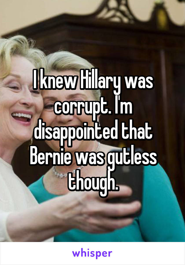 I knew Hillary was corrupt. I'm disappointed that Bernie was gutless though.