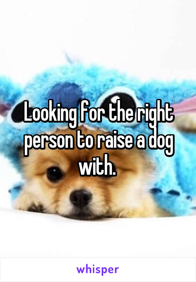 Looking for the right person to raise a dog with. 