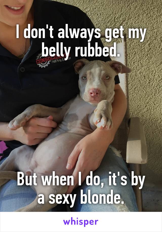 I don't always get my belly rubbed.






But when I do, it's by a sexy blonde.