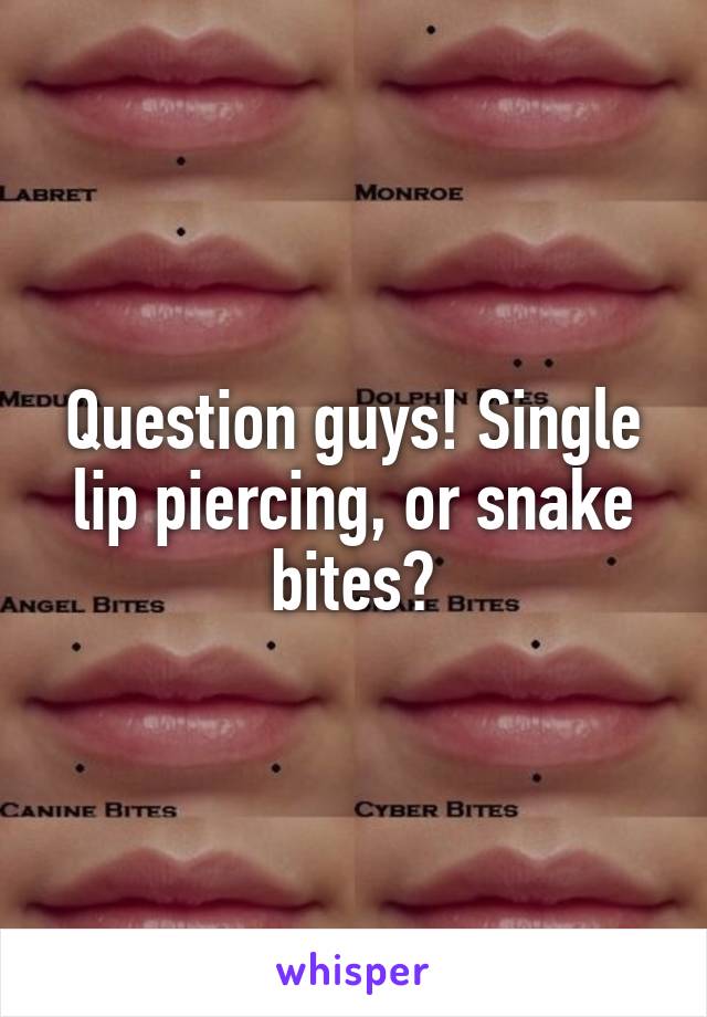 Question guys! Single lip piercing, or snake bites?