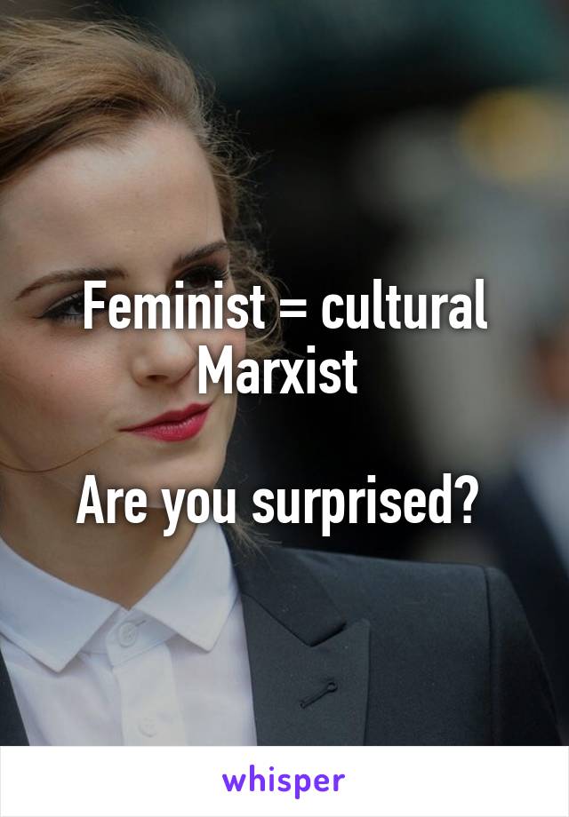 Feminist = cultural Marxist 

Are you surprised? 