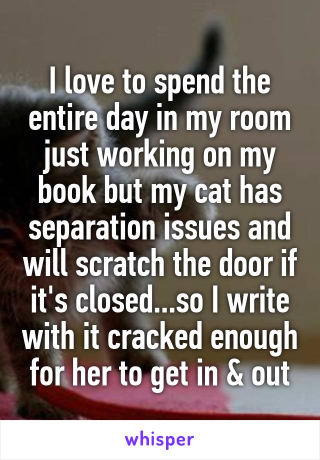 I love to spend the entire day in my room just working on my book but my cat has separation issues and will scratch the door if it's closed...so I write with it cracked enough for her to get in & out