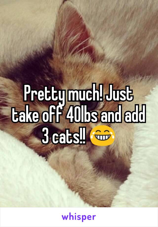 Pretty much! Just take off 40lbs and add 3 cats!! 😂