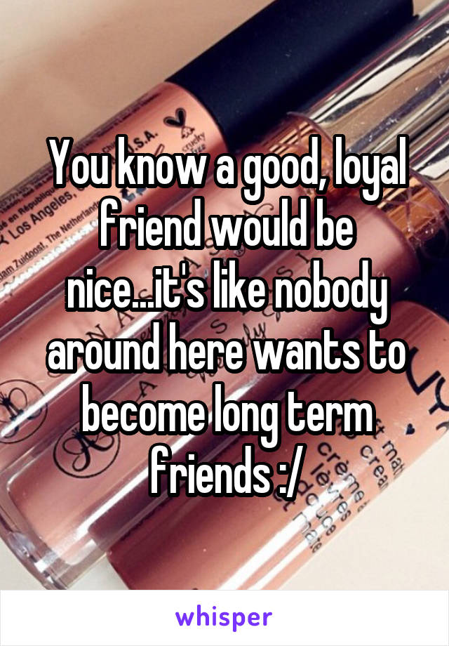 You know a good, loyal friend would be nice...it's like nobody around here wants to become long term friends :/