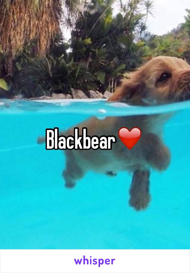 Blackbear❤️