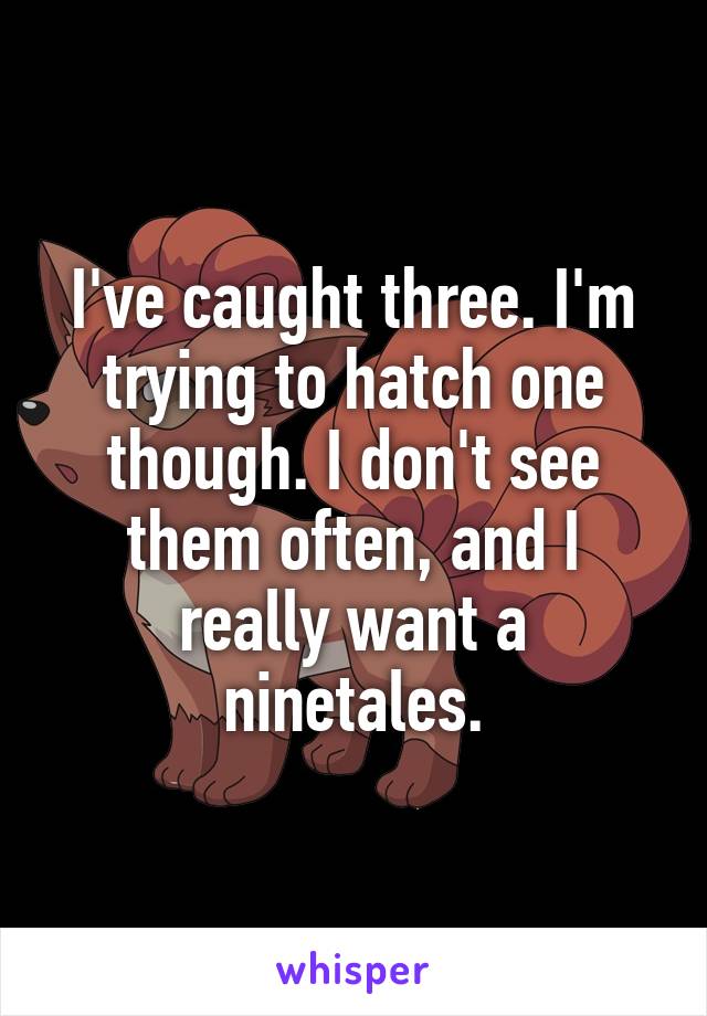 I've caught three. I'm trying to hatch one though. I don't see them often, and I really want a ninetales.