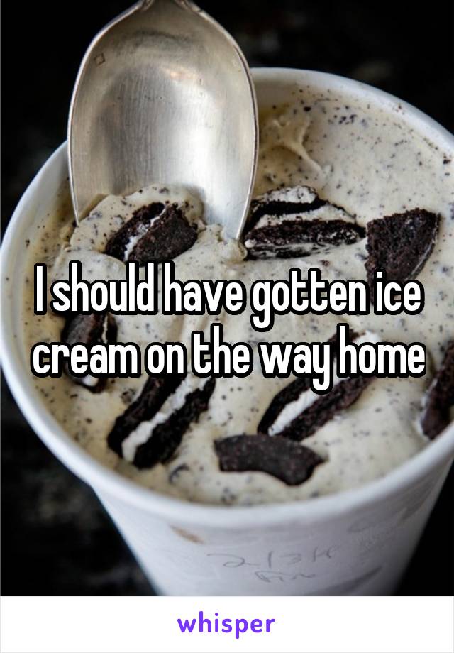 I should have gotten ice cream on the way home