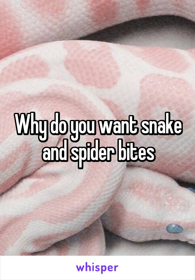 Why do you want snake and spider bites