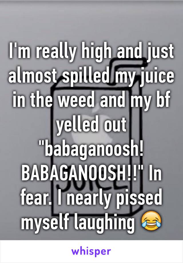 I'm really high and just almost spilled my juice in the weed and my bf yelled out "babaganoosh! BABAGANOOSH!!" In fear. I nearly pissed myself laughing 😂