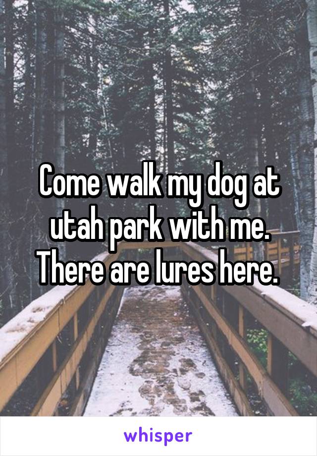 Come walk my dog at utah park with me. There are lures here. 