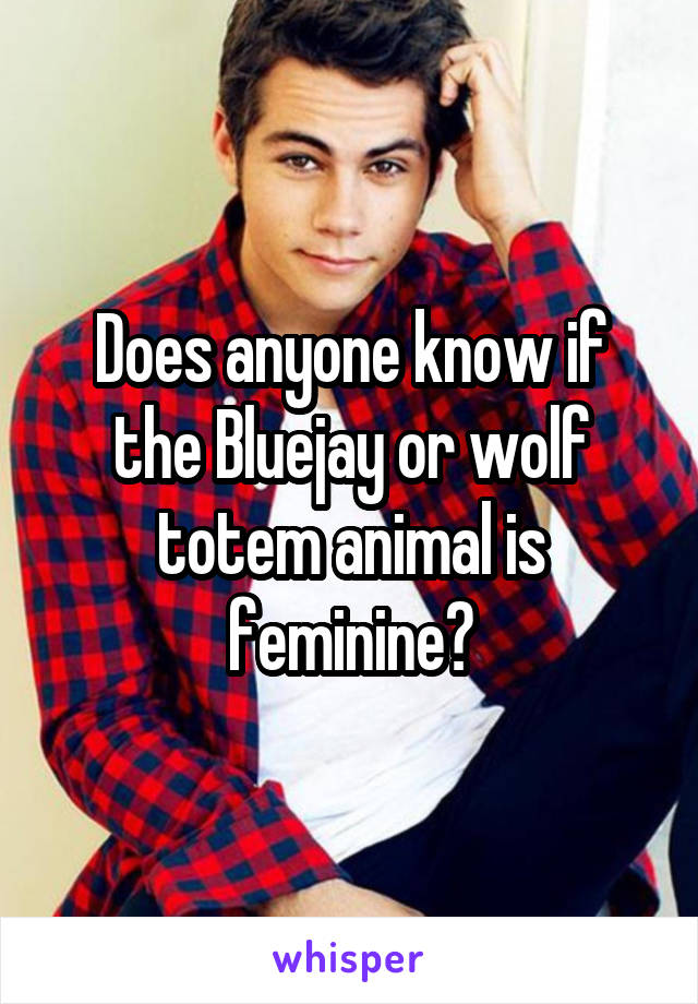 Does anyone know if the Bluejay or wolf totem animal is feminine?