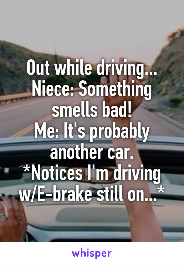 Out while driving...
Niece: Something smells bad!
Me: It's probably another car.
*Notices I'm driving w/E-brake still on...*