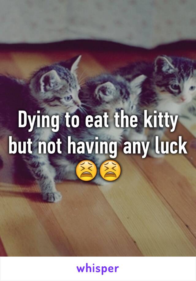 Dying to eat the kitty but not having any luck 😫😫