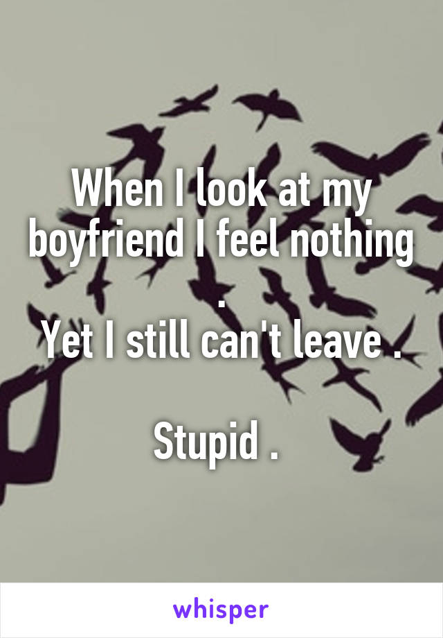 When I look at my boyfriend I feel nothing .
Yet I still can't leave . 
Stupid . 