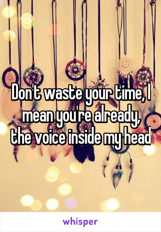 Don't waste your time, I mean you're already, the voice inside my head