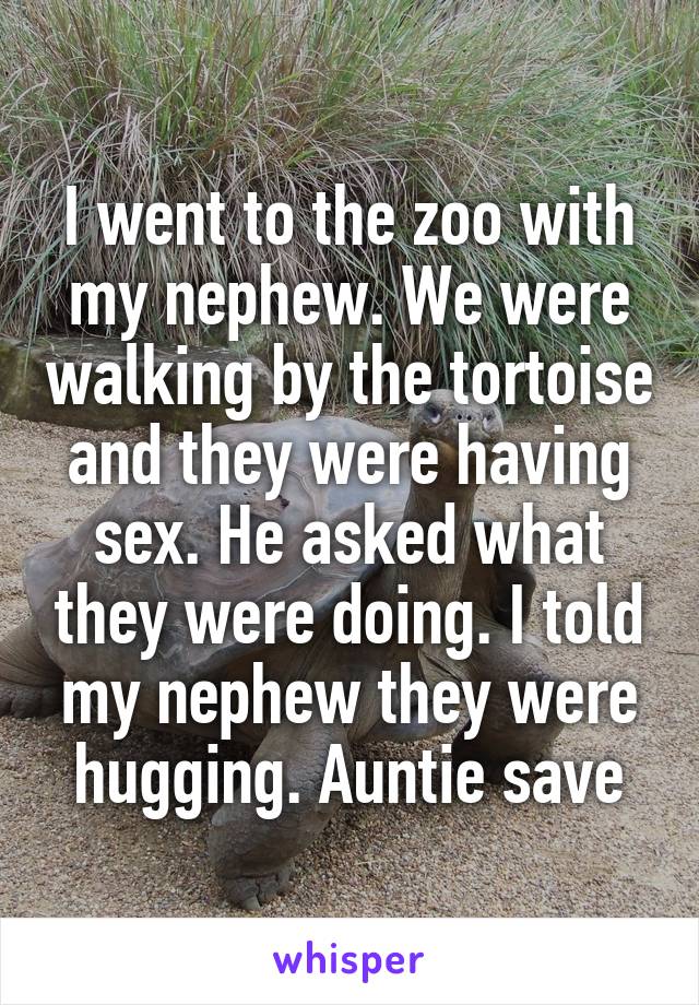 I went to the zoo with my nephew. We were walking by the tortoise and they were having sex. He asked what they were doing. I told my nephew they were hugging. Auntie save