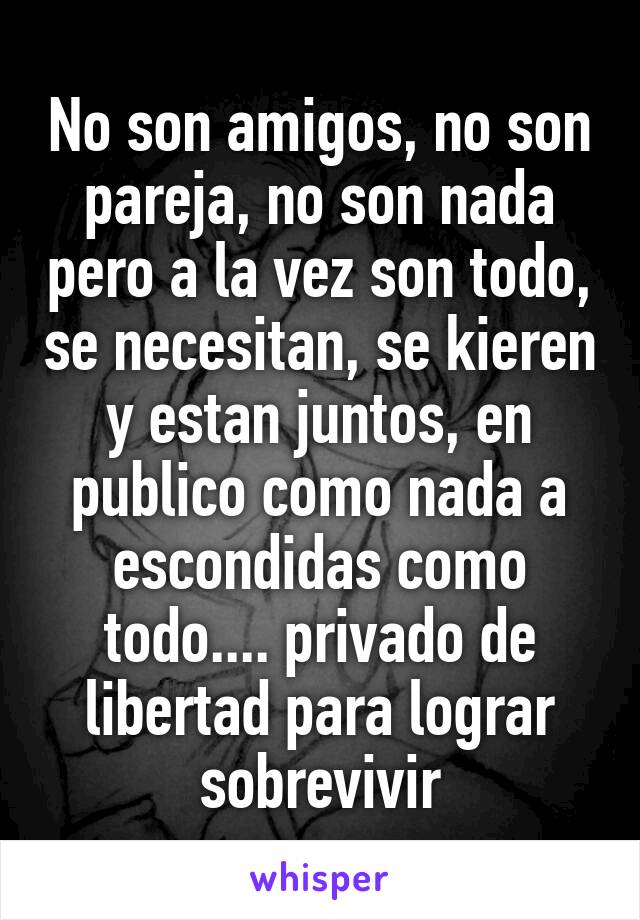 No son amigos, no son pareja, no son nada pero a la vez son todo, se necesitan, se kieren y estan juntos, en publico como nada a escondidas como todo.... privado de libertad para lograr sobrevivir