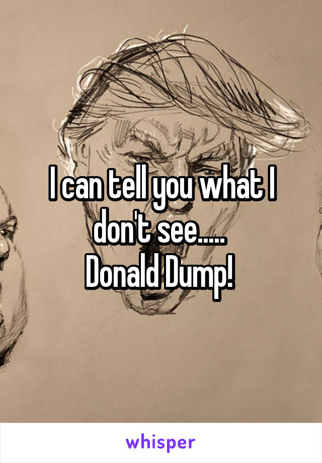 I can tell you what I don't see..... 
Donald Dump! 