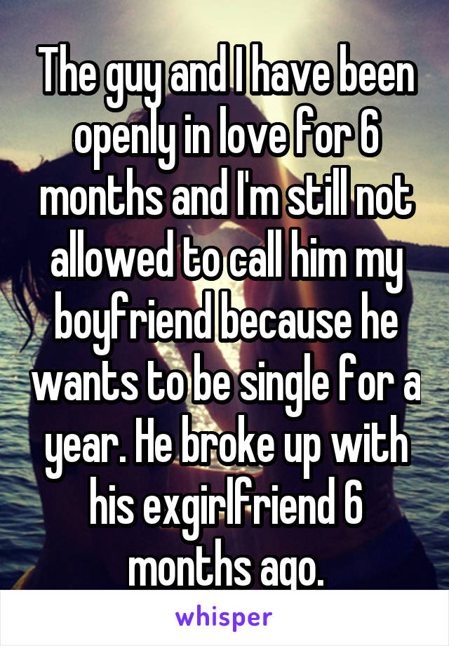 The guy and I have been openly in love for 6 months and I'm still not allowed to call him my boyfriend because he wants to be single for a year. He broke up with his exgirlfriend 6 months ago.