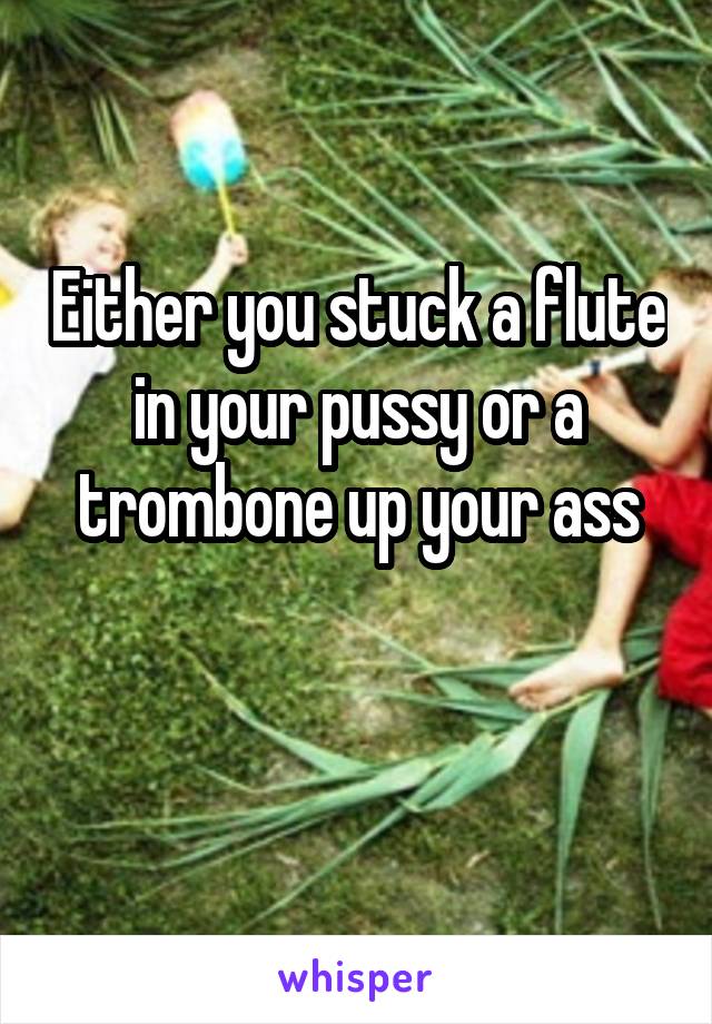 Either you stuck a flute in your pussy or a trombone up your ass

