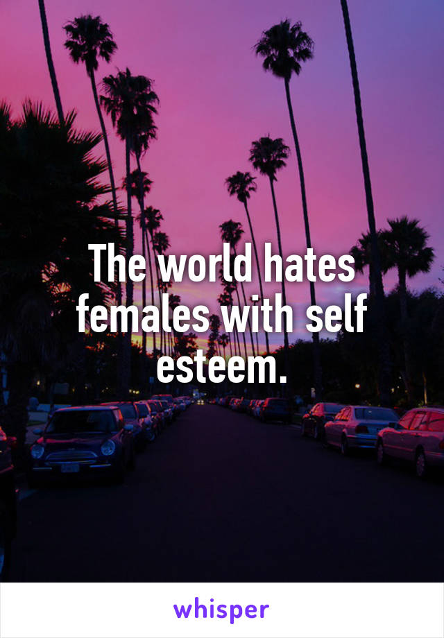 The world hates females with self esteem.